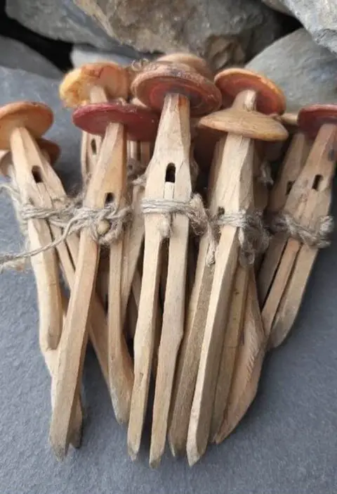 I Found These At My Grandma’s House And Have No Idea What They Are