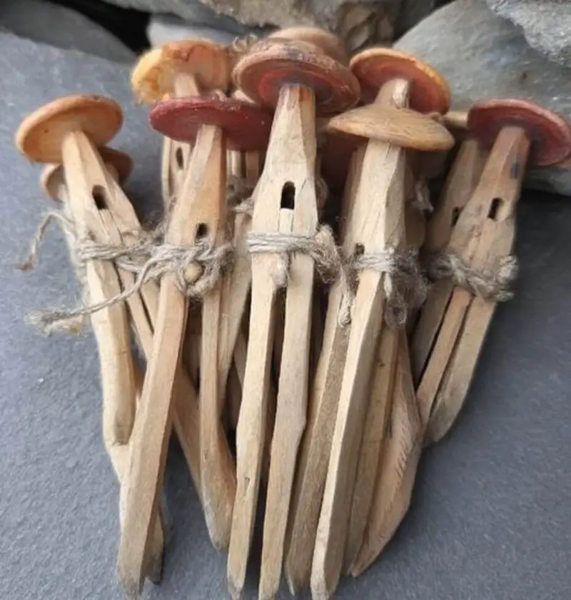 I Found These At My Grandma’s House And Have No Idea What They Are