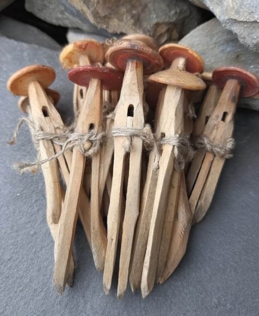I Found These At My Grandma’s House And Have No Idea What They Are