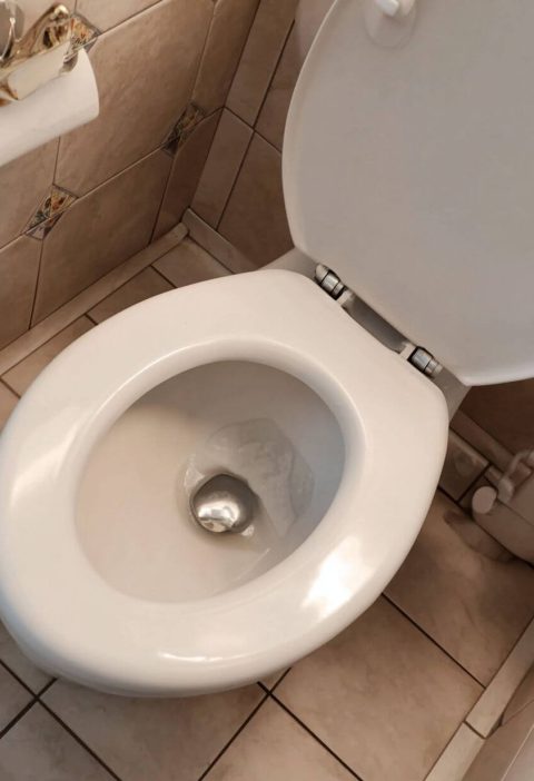 My Daughter-in-Law Told Me About This Secret Toilet Function—I Never Thought I’d Find Out About It in My Old Age (Many Toilets Have This Function)