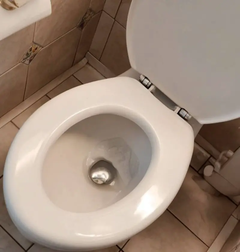 My Daughter-in-Law Told Me About This Secret Toilet Function—I Never Thought I’d Find Out About It in My Old Age (Many Toilets Have This Function)