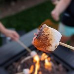 Homemade vs. Campbell’s Tomato Soup: The Cozy Truth Behind the Spoon