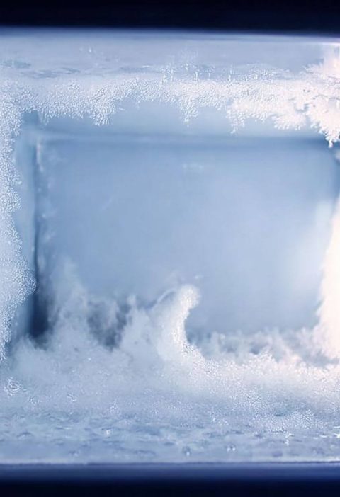 Say Goodbye to Freezer Frost: Nana’s No-Sweat Secret