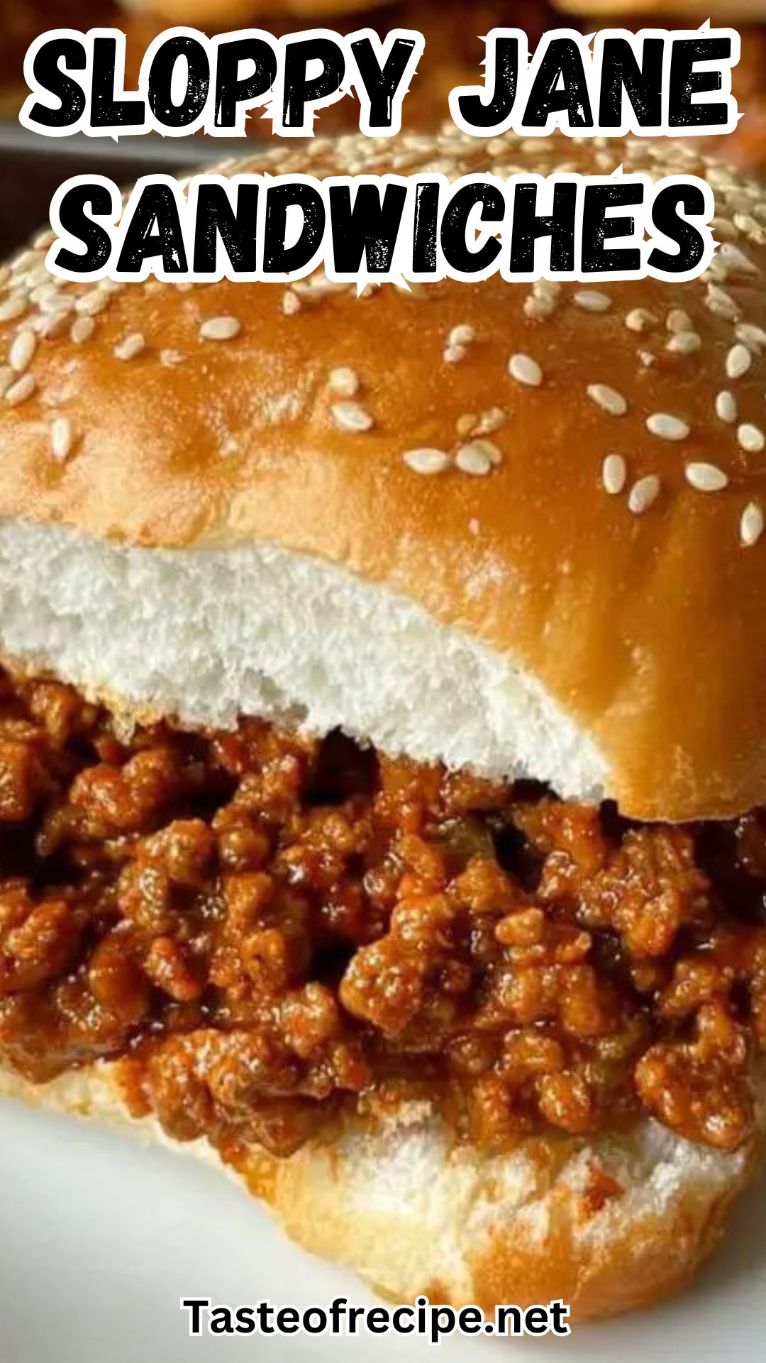 Sloppy Jane Sandwiches