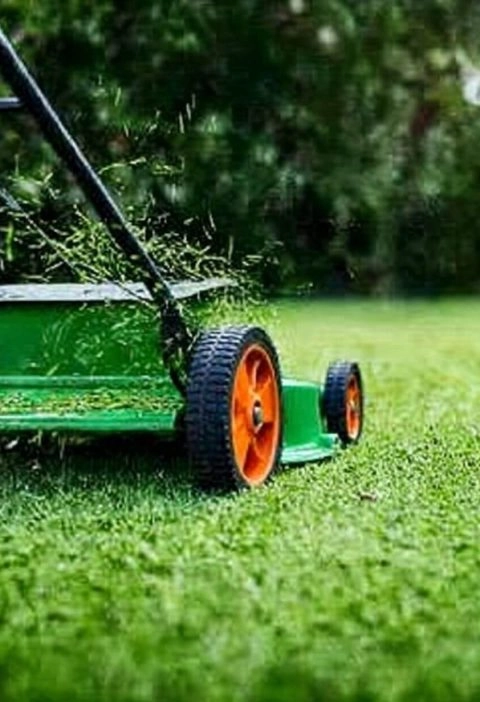 My Grandpa’s Secret for Sharpening Lawnmower Blades—So Simple, You’ll Wonder Why You Never Tried It