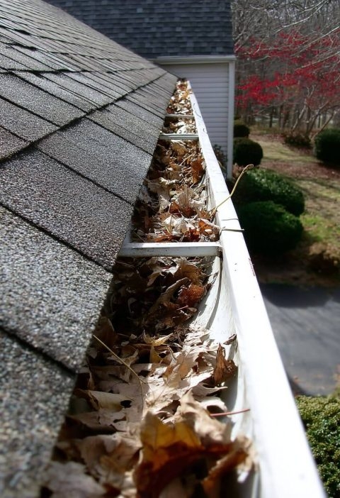 Grandpa’s No-Ladder Gutter Trick: The Lazy Homeowner’s Secret Weapon