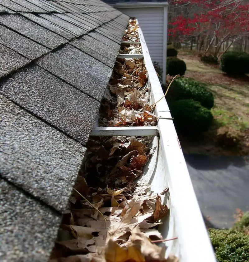 Grandpa’s No-Ladder Gutter Trick: The Lazy Homeowner’s Secret Weapon