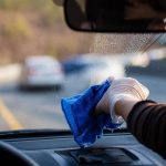 The Old-Fashioned Flea Fix That Still Works