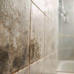 3 Simple, Natural Ways to Keep Pests Out of Your Home