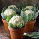 Stop Washing Produce the Wrong Way: 10 Things You Might Be Getting All Kinds of Wrong