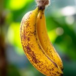 That Greasy Hood Filter? Yeah, It’s Time to Clean It (Here’s the Easy Way)