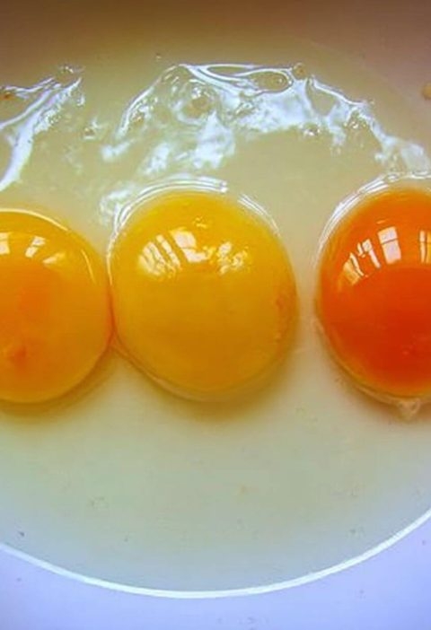 The Egg Yolk That Stopped Me in My Tracks