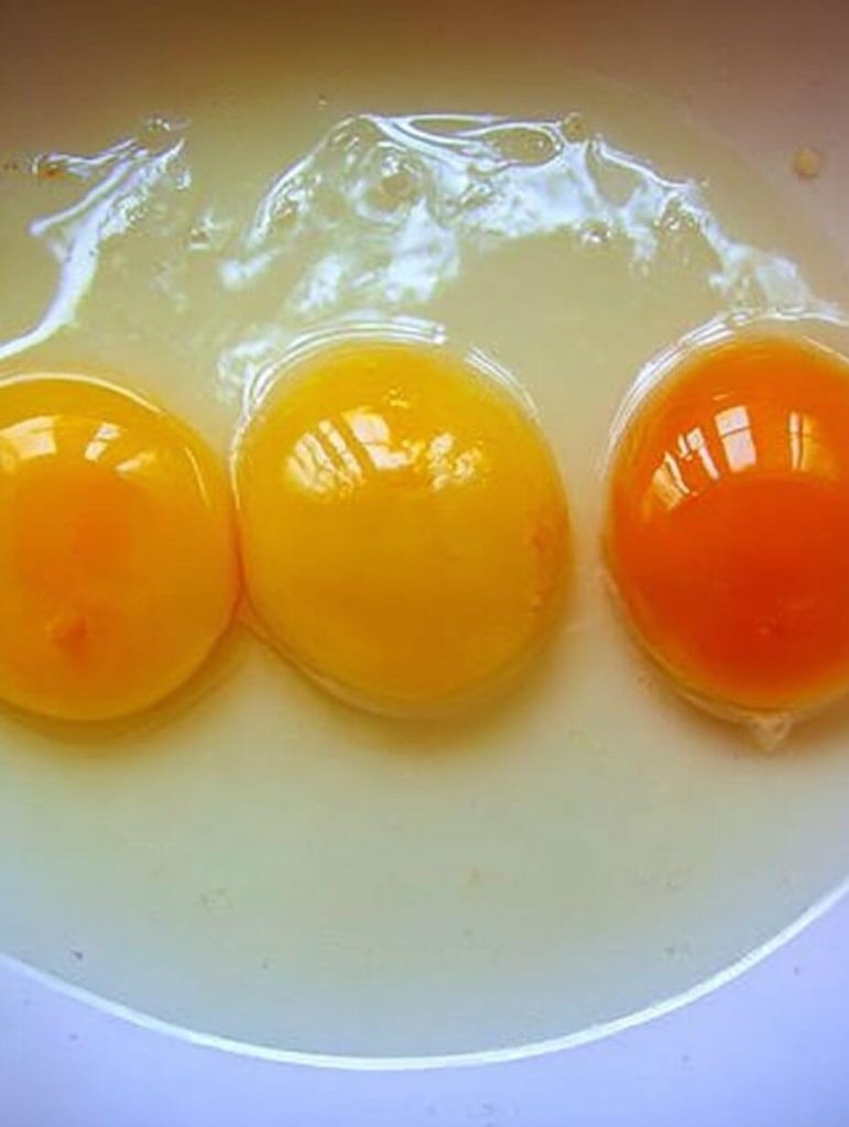 The Egg Yolk That Stopped Me in My Tracks
