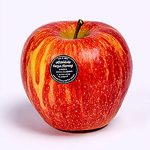 Slow Cooker Cajun Chicken Alfredo