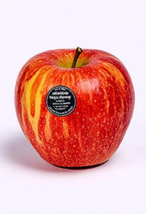 What Fruit Stickers Can Tell You (That No One Ever Bothered to Mention)