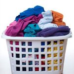 That Dog in the Red Collar? Here’s What It’s Trying to Tell You