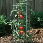 A Canvas That Glows: How Christmas Lights Brought My Wall Art to Life