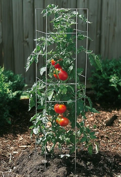 Turn Those Tomato Cages Into Sparkly Holiday Trees (Trust Me on This)