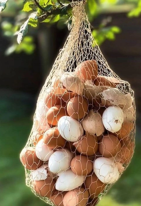When Breakfast Becomes a Garden Hack