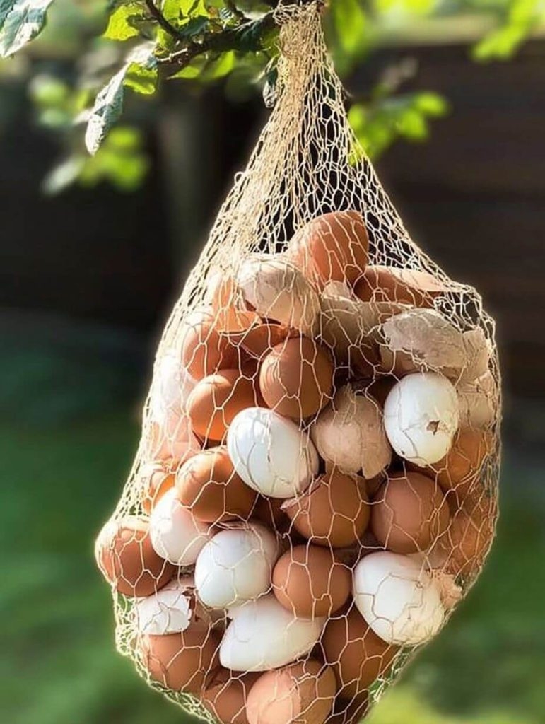 When Breakfast Becomes a Garden Hack