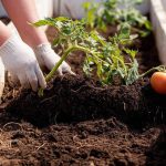 This Silly Little Jar Opener Just Saved Me from Smelling Like Garlic for Three Days