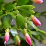 The 6-Minute Garage Door Trick That Keeps Ice From Sealing You In