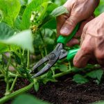 Most Folks Do This Wrong: How (and When) to Clean Winter Gear Without Ruining It