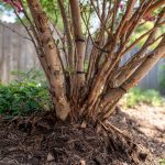 That Little Cloud of Comfort—Until It Isn’t