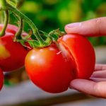 When Your Furnace Starts Talking Back (And What You Can Do While You Wait)