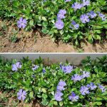 A Fridge Door That Won’t Seal? Let’s Calm That Situation Down