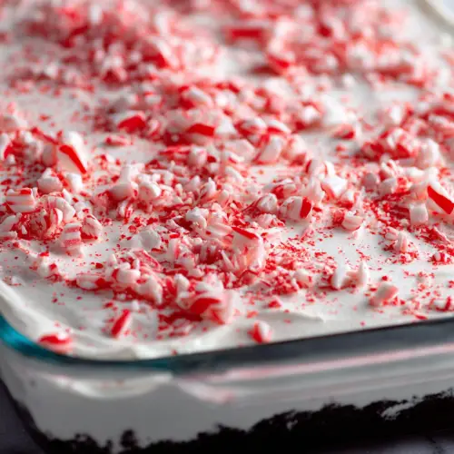 Candy Cane Lush (A No-Bake Christmas Classic That’s Never Left My Table)
