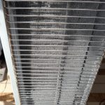 Why Growing Your Own Vegetables Feels Like a Small Act of Rebellion