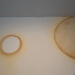 The Periwinkle Plant: Small Flower, Big Story