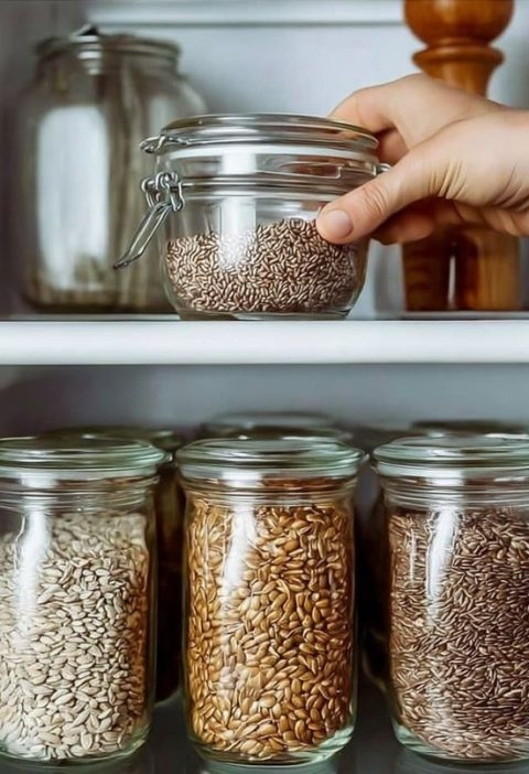 Why Some Seeds Need a Little Time in the Cold
