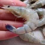 Let’s Talk About Mashed Potatoes (Because Honestly? I Love Them More Than Most People)