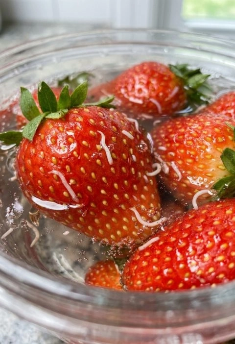 Those Tiny White Worms in Strawberries… Should You Be Worried?