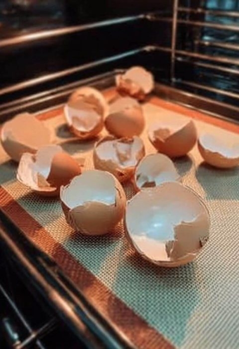 Why Baking Eggshells Might Be the Most Underrated Kitchen Trick