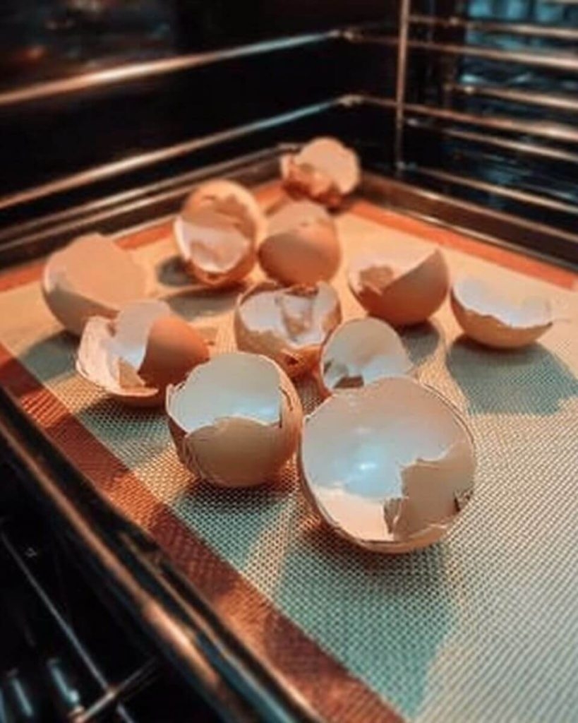 Why Baking Eggshells Might Be the Most Underrated Kitchen Trick