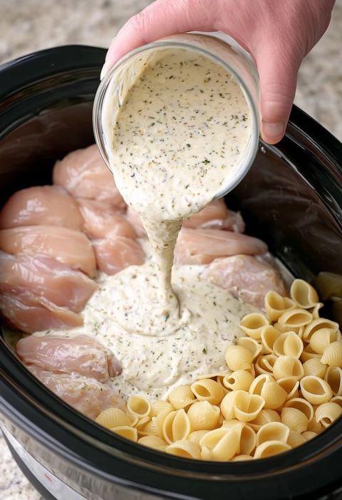 Creamy Garlic Parmesan Chicken Shells (My Slow Cooker Did All the Work and I'm Taking the Credit)