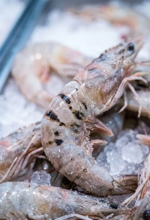 Why Frozen Shrimp Sometimes Have Black Spots (And Why It Usually Isn’t What You Think)
