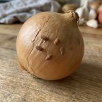 Tiny Tunnels in Your Paprika? Here’s What They Usually Mean (And What to Do Next)
