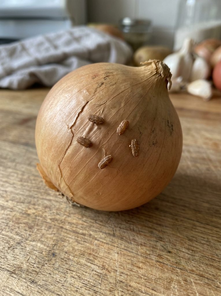 Found Tiny Brown Rice-Like Specks on an Onion? Here’s What They Probably Are