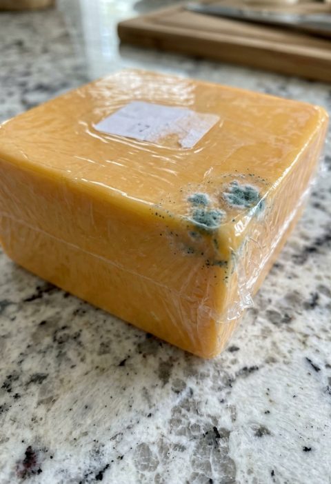 That Green Spot on Your Cheddar… Cut It Off or Toss the Whole Thing?