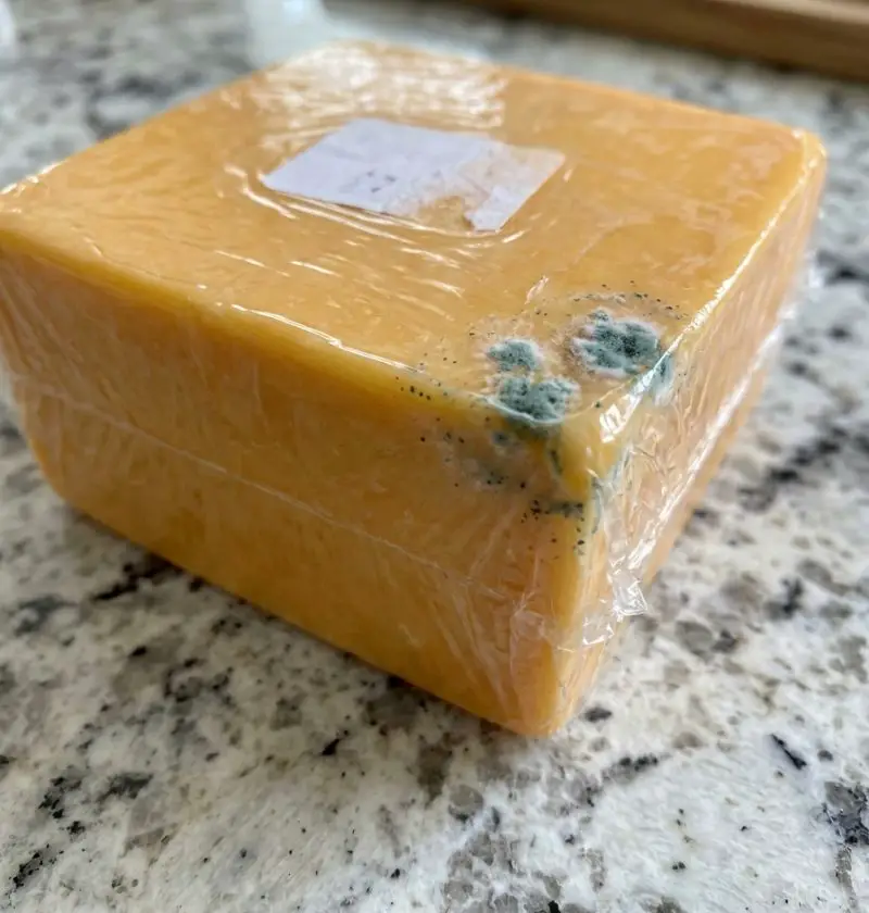 That Green Spot on Your Cheddar… Cut It Off or Toss the Whole Thing?