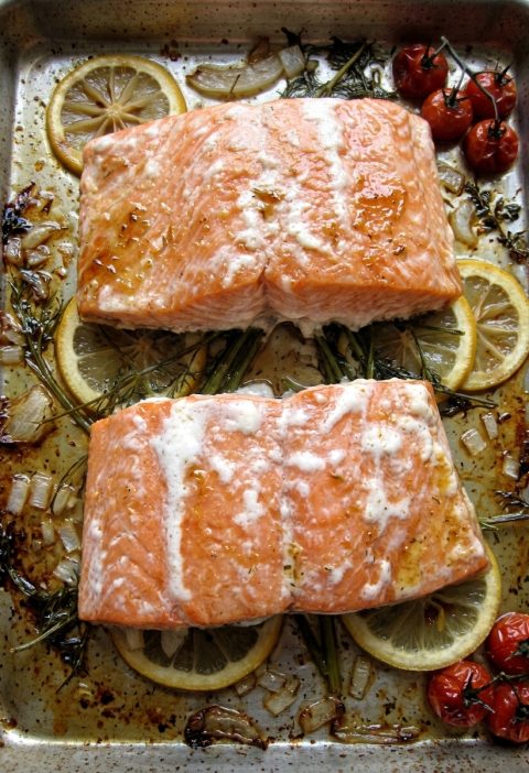What That White Stuff on Salmon Really Means (And When to Worry)