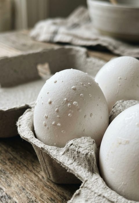 Why Are There Weird White Bumps on My Eggshells? (And Should You Worry?)