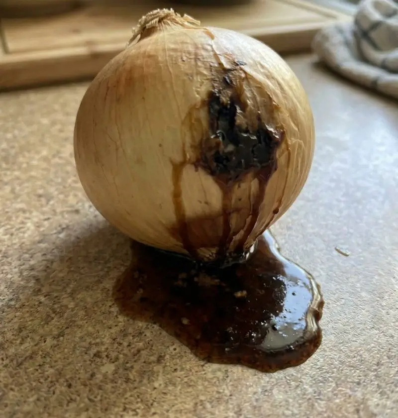 Why Is My Onion Leaking Brown Liquid? Here’s What It Actually Means
