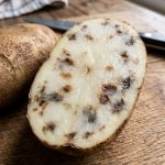 Why Is My Onion Leaking Brown Liquid? Here’s What It Actually Means
