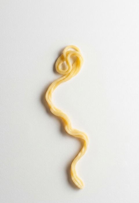 Why Do People Throw Spaghetti at the Wall? The Truth Behind This Weird Pasta Test