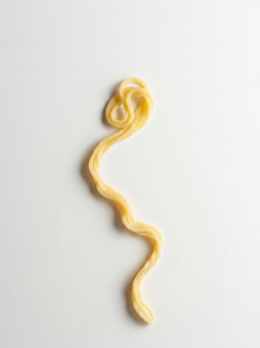 Throw Spaghetti Why Do People Throw Spaghetti at the Wall? The Truth Behind This Weird ...